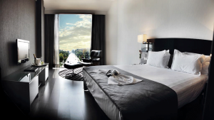 Hotel Eurostars Palace